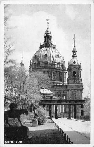 L217 Deutschland Berliner Dom Vintage Postkarte