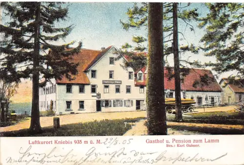 L410 Deutschland 1905 Luftkurort Kniebis Gasthof Pension zum Lamm Flachrelief Postkarte