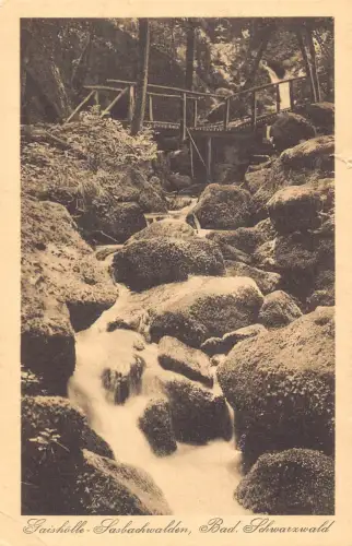 L160 Germany Gaishoelle-Sasbachwalden, Bad. Schwarzwald Vintage Postkarte