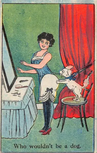 Comic Humor Hund Ziehen Sie das Korsett der sexy Frau, die kein Hund wäre Postkarte