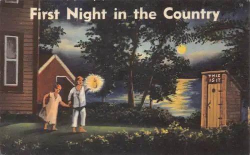A989 USA Erste Nacht auf dem Land Mondlicht Paar Garten Toilette Postkarte