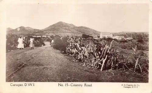L526 Curacao DWI Landstraße Echtfoto Vintage Postkarte