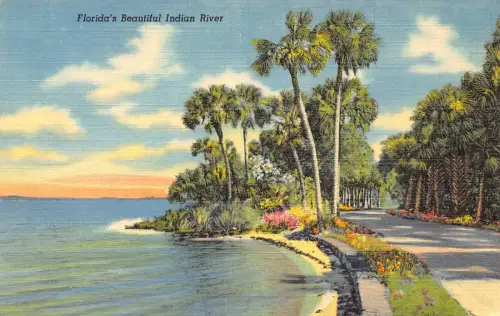 A989 US Floridas schöner Indian River Vintage Postkarte