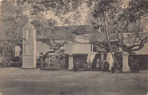 Sri Lanka Ceylon Heiliger Bo Baum Anuradhapura Vintage Postkarte
