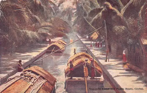 Sri Lanka Ceylon Negombo Kanal und Padda Boote Vintage Postkarte