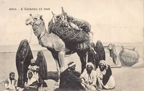 Postkarte A613 Jemen Aden Karawane in Ruhe Kamel Transport von Waren Eingeborene