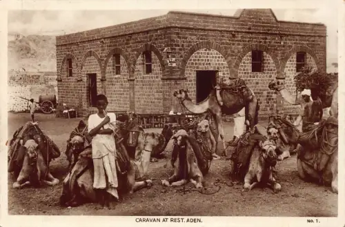 A613 Jemen Aden Karawane in Ruhe Kamele Transport ethnischer Junge RPPC Postkarte