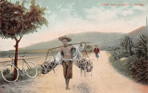 A670 China Native Man Taking Pigs to Market Bicycle Ethno Vintage Postkarte