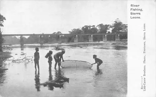 B441 Sierra Leone Fluss Angeln Ureinwohner in Fluss Ethnische Brücke Postkarte