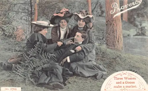 A680 Sprüche Drei Frauen und eine Gans machen eine Marktpostkarte