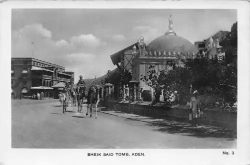 B444 Jemen Aden Sheik Said Grab Kamele RPPC Vintage Postkarte
