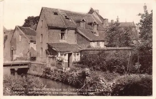 A755 Belgien Louvain Löwen Pictoresque Blick Fluss und Häuser Postkarte