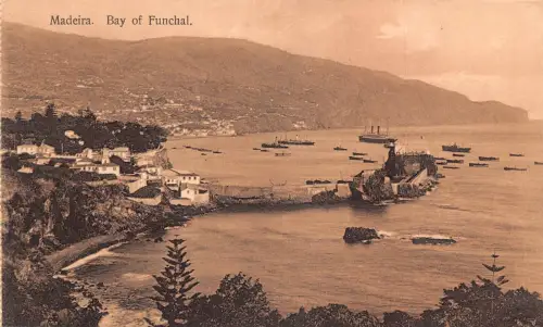 A001 Portugal Madeira Bucht von Funchal Dampfschiffe Vintage Postkarte