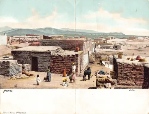 Mexiko Penon Kinder Esel 1904 Panorama Postkarte B836