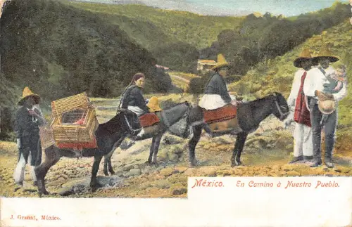 Mexiko En Camino a Nuestro Pueblo Eingeborene reiten Esel ethnische Postkarte B836