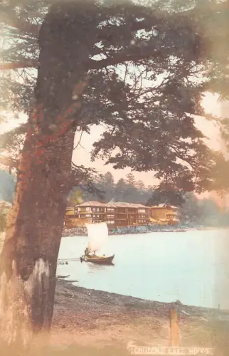 L268 Japan Chuzenji See Nikko Baum Segelboot Vintage Postkarte