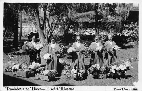 A831 Portugal Madeira Blumen Verkäufer Vendederas de Flores Funchal 1951 Postkarte