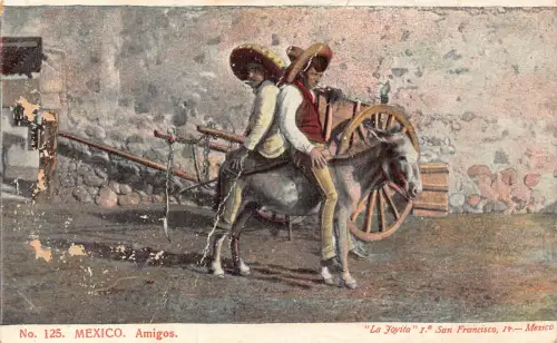 L486 Mexiko Amigos Freunde Esel Vintage Postkarte
