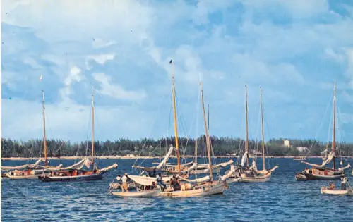 B159 Bahamas Nassau Fishing Smacks Boats Vintage Postkarte