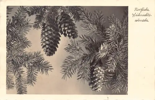 Weihnachtsgrüße 1938 Tannenzapfen im Baum Vintage Postkarte