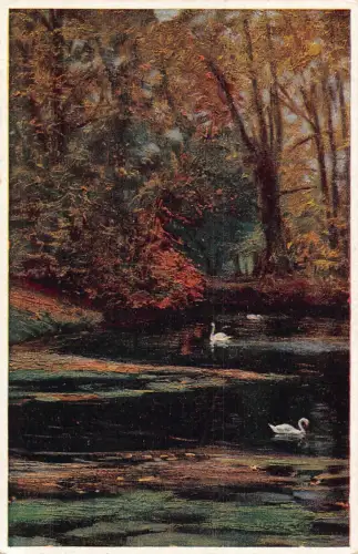 Natur Schwäne am Teich im grünen Wald Kunst Vintage Postkarte
