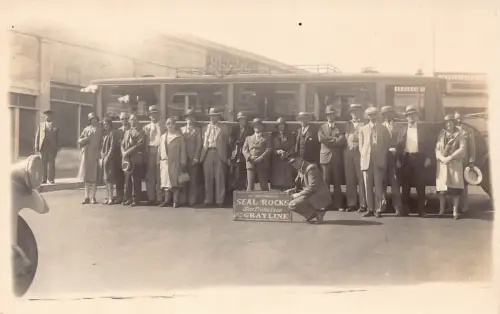 B614 US Famous Seal Rocks at Grayline Tram San Francisco RPPC Vintage Postkarte