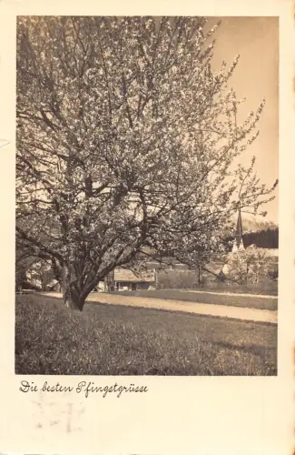 Pfingstgrüße 1936 Blume Blüte Baum im Dorf Vintage Postkarte