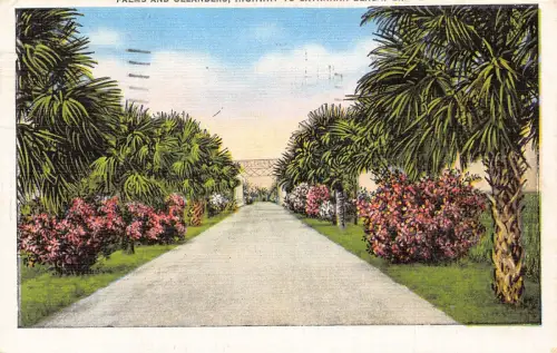 A901 US 1949 Palm Trees Avenue nach Savannah Beach Georgia Vintage Postkarte
