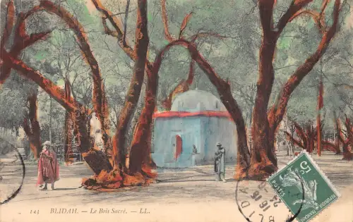B168 Algerien Blidah Le Bois Sacre Vintage Postkarte