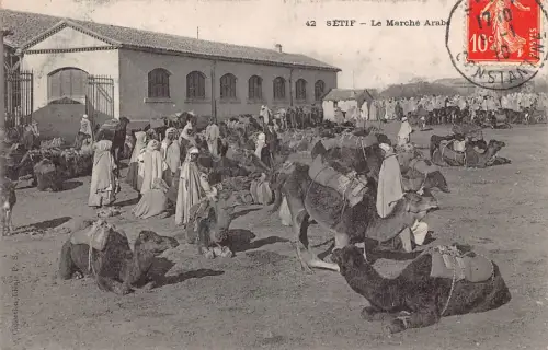 B168 Algerien 1910 Setif Marken Arabe Markt Kamele Ureinwohner Vintage Postkarte