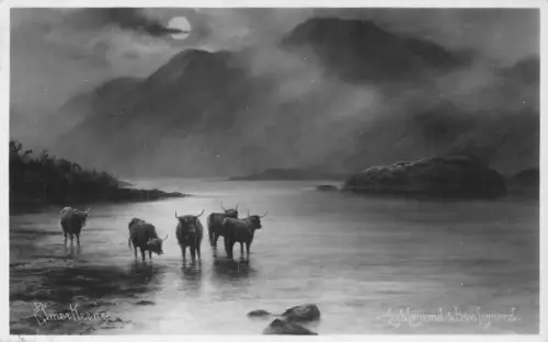 A910 Art Loch Lomond Scotland Cattle Moonlight 1934 Vintage Postkarte
