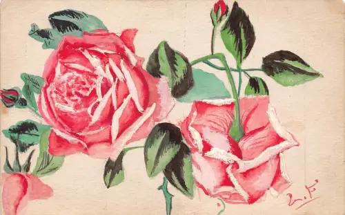 A909 Handbemalte schöne rosa Rosen Vintage Postkarte