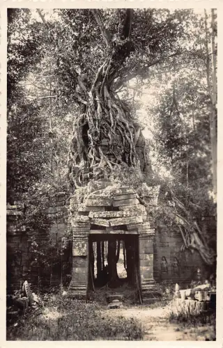 B664 Cambodia Grand Circuit Tasom Entree Principale RPPC Vintage Postkarte