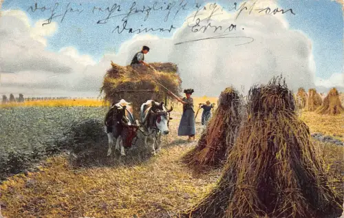 Arbeitsleben 1912 Bauern Bauern bei der Arbeit Ochsenwagen Heufeld, Postkarte