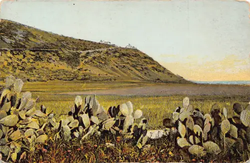 B205 Israel Berg Karmel Vintage Postkarte