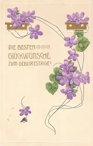 B193 Geburtstagsgrüße 1910 Veilchen Blumen Blätter Prägepostkarte