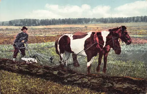 A931 Estland Motiv aus Livland Bauern- und Pferdepflug Landwirtschaft Postkarte