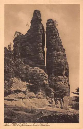 L215 Deutschland Die Wachtfelsen bei Dahn Klippen Vintage Postkarte
