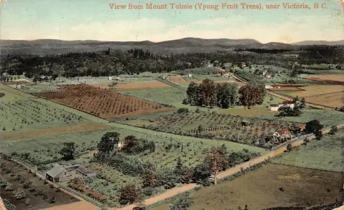 B237 Kanada Blick vom Mount Tolmie Young Fruit Trees in der Nähe von Victoria Postkarte