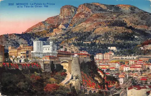 B238 Monaco Palais du Prince et Tete de Chien Vintage Postkarte