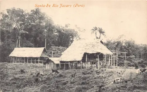 Peru Santa Fe Rio Favory Rinder Vintage Postkarte B949