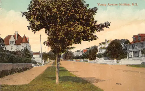 Kanada Young Avenue Halifax Vintage Postkarte B965