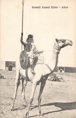 L380 Jemen Aden Somali Camel Rider Soldat Vintage Postkarten