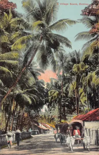 L377 Indien Eine Dorfszene Bombay Ochsenkarren Palmen Vintage Postkarte