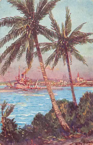 A152 Deutsche Kolonie Südafrika Dampfschiff Bäume signiert Willy Stoewer Postkarte