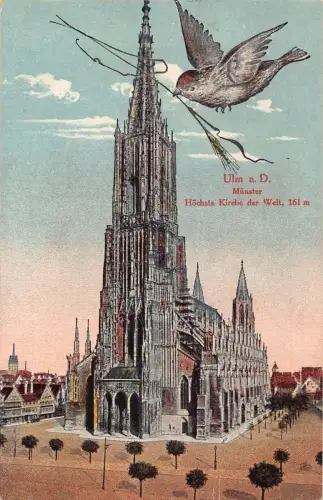 A161 Deutschland 1925 Ulm a D Münster Hoechste Kirche Vogel Weizenähre Postkarte