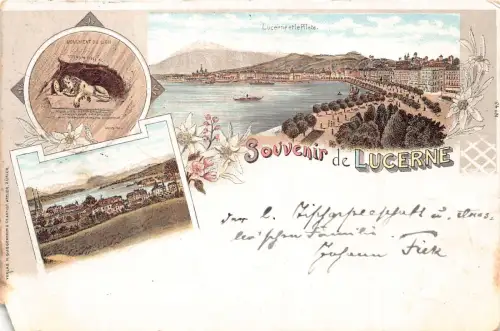 A134 Schweiz 1899 Souvenir de Lucerne Löwendenkmal Edelweiß Pilat Postkarte