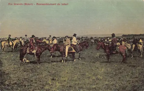 L248 Brasilien Rio Grande (Brésil) Rassemblement du bétail Vintage Postkarte