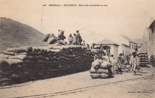 Senegal Rufisque Bagging Peanuts Workers Haufen of Sacks Vintage Postkarte