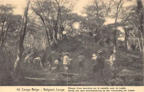 Belgisch-Kongo 1913 Termitenangriff auf die neue Straße nach Lukafu Ureinwohner Postkarte B982